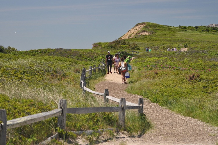 path to beach